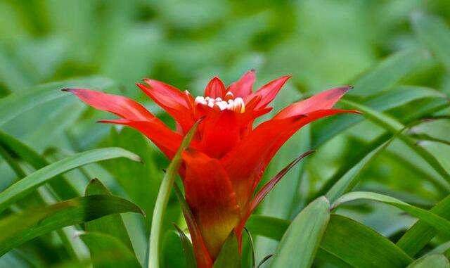 阳宅绝学:“后天补运十八局”!学会可兴财气