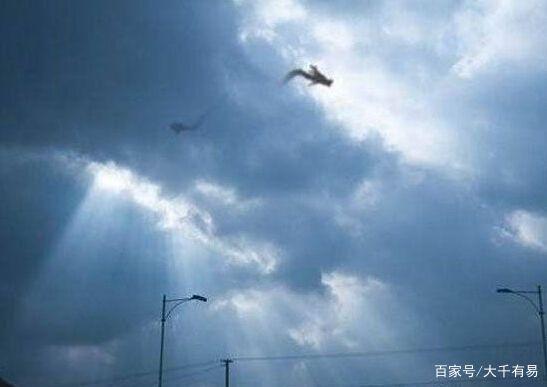 中国龙是否真实存在,那些说见过的是在撒谎?未必