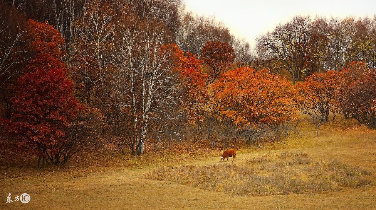 看風水的最高境界