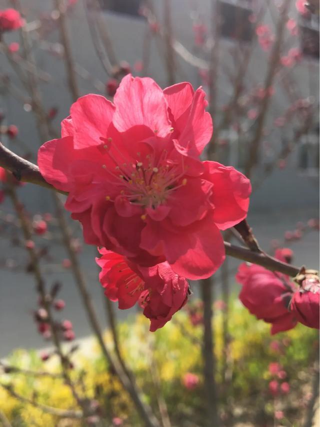 爬山要准備三寶，靴子，拐杖，小背包