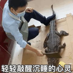 張文宏久違再發聲，放開後的北京，超出你的想像