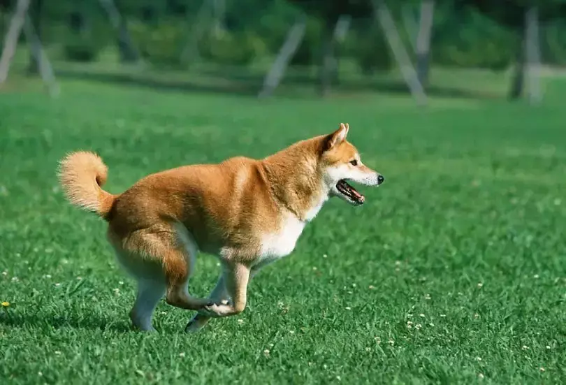 故事很短，卻說透了我們的一生，我看了10遍！（值得收藏）