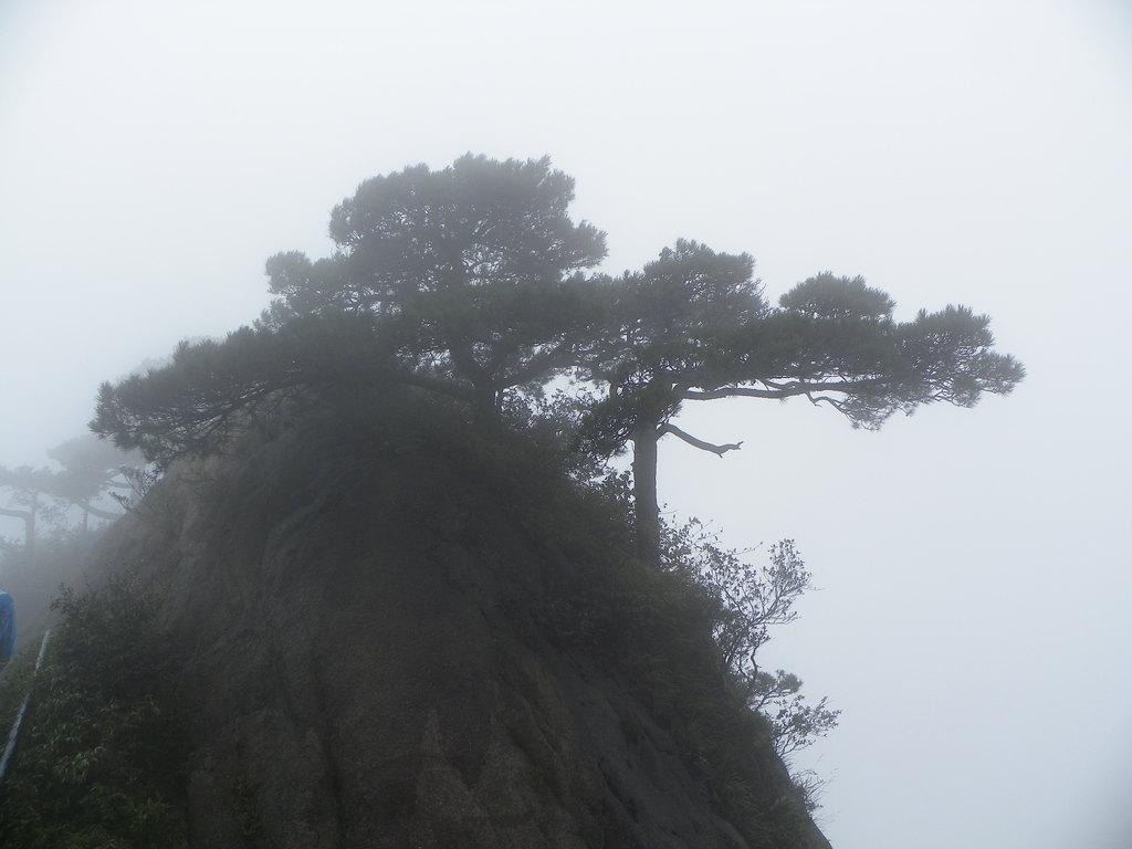 我們該如何看待玄學？