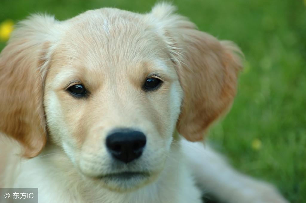 飽經風霜的風水先生——教你找對自己家中的財位,財源滾滾而來!