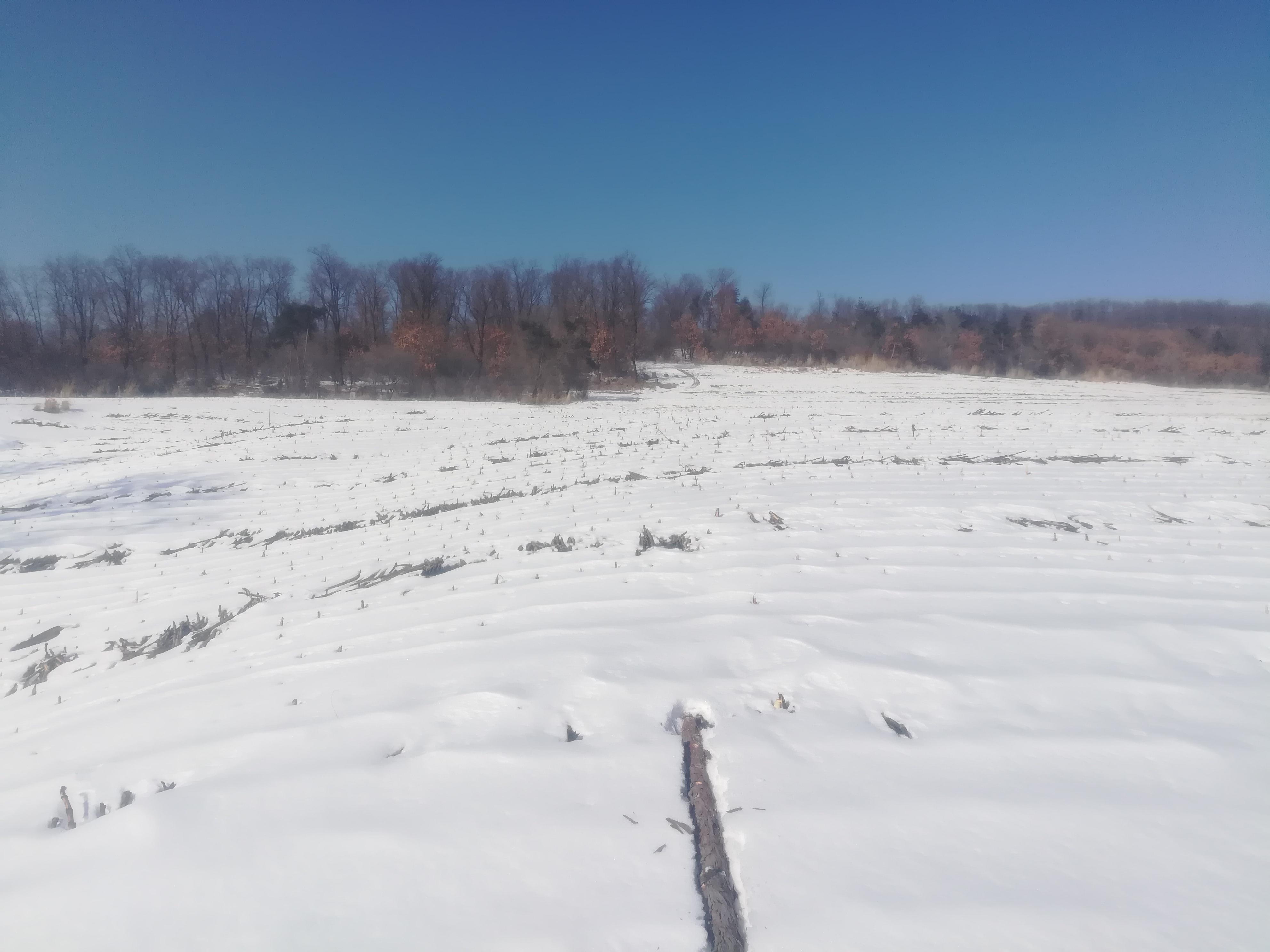 法術奇門遁甲小議