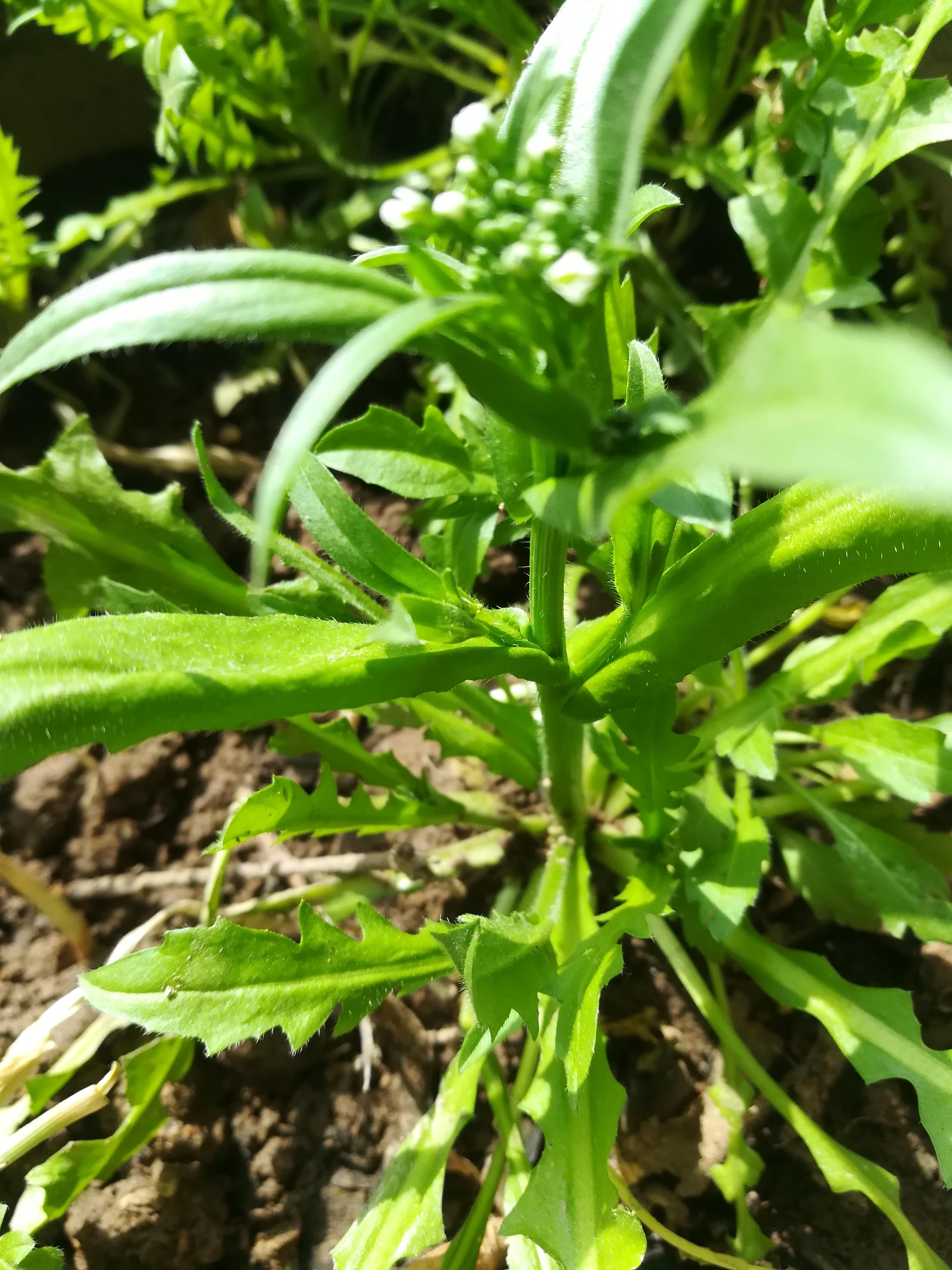 對易經算命有看法