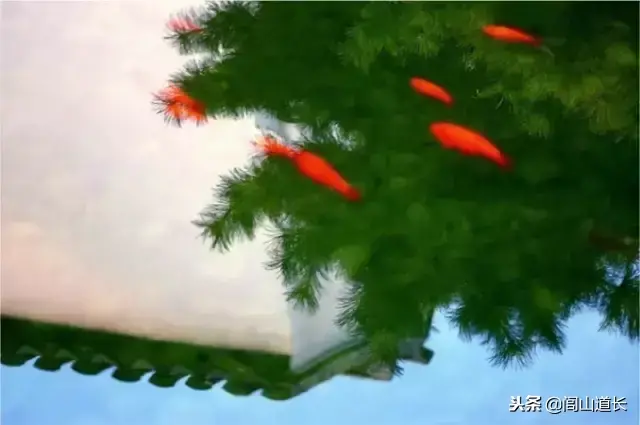 閭山道長:人生三見:見自己,見天地,見眾生