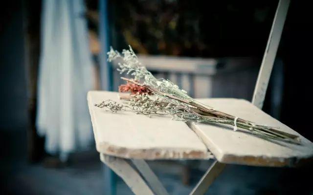 一代才女林徽因的唯美文字