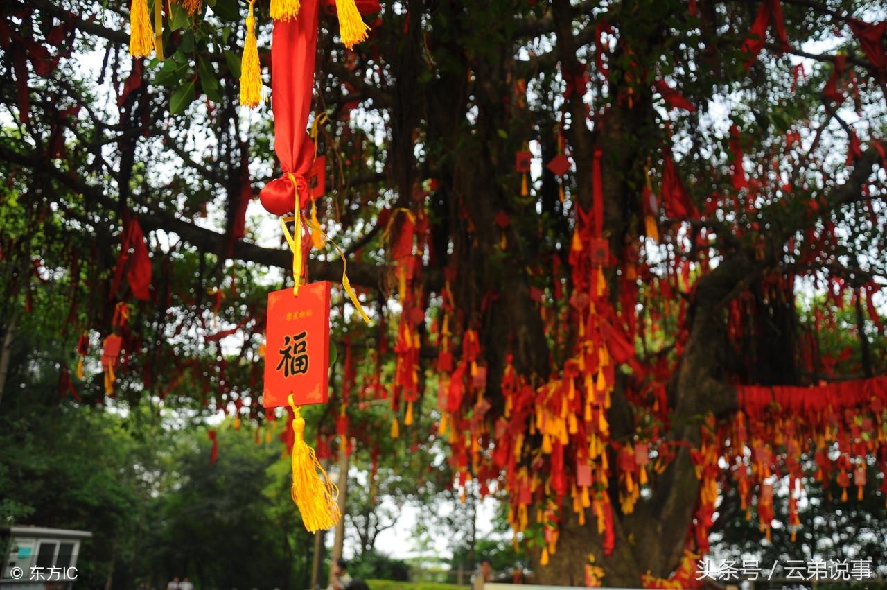 怎麼樣的婚姻才算是合適?風水師:婚戀符合這三點才容易長久!