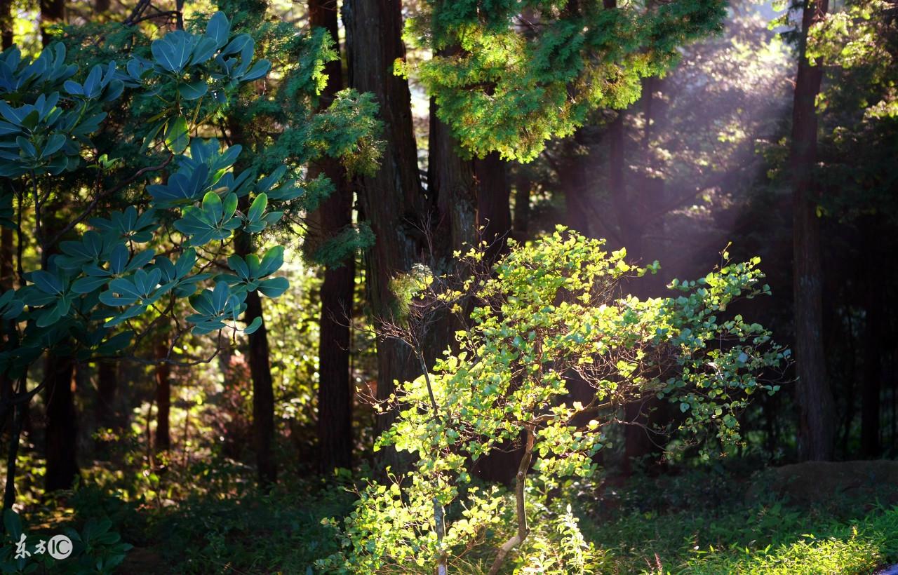 道家五大秘傳內功