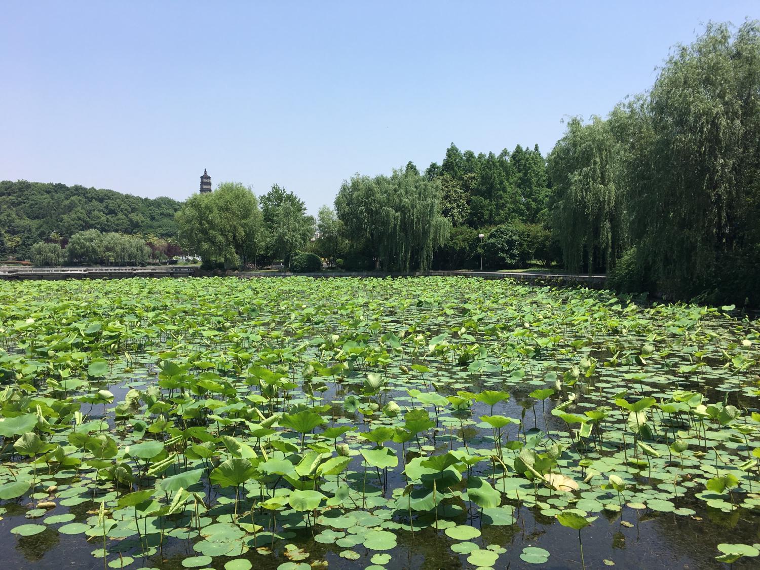 從來沒有人能違背自己的八字趨勢去生活！