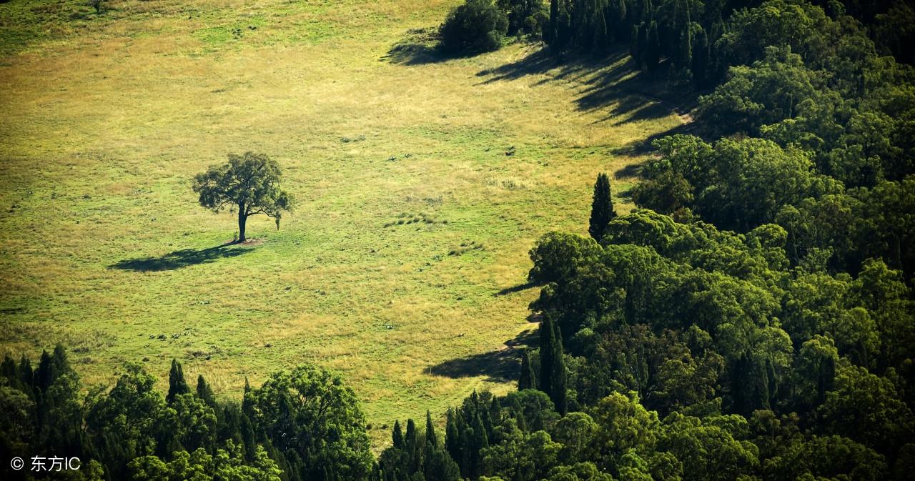 簡單分析八字命理中基本信息