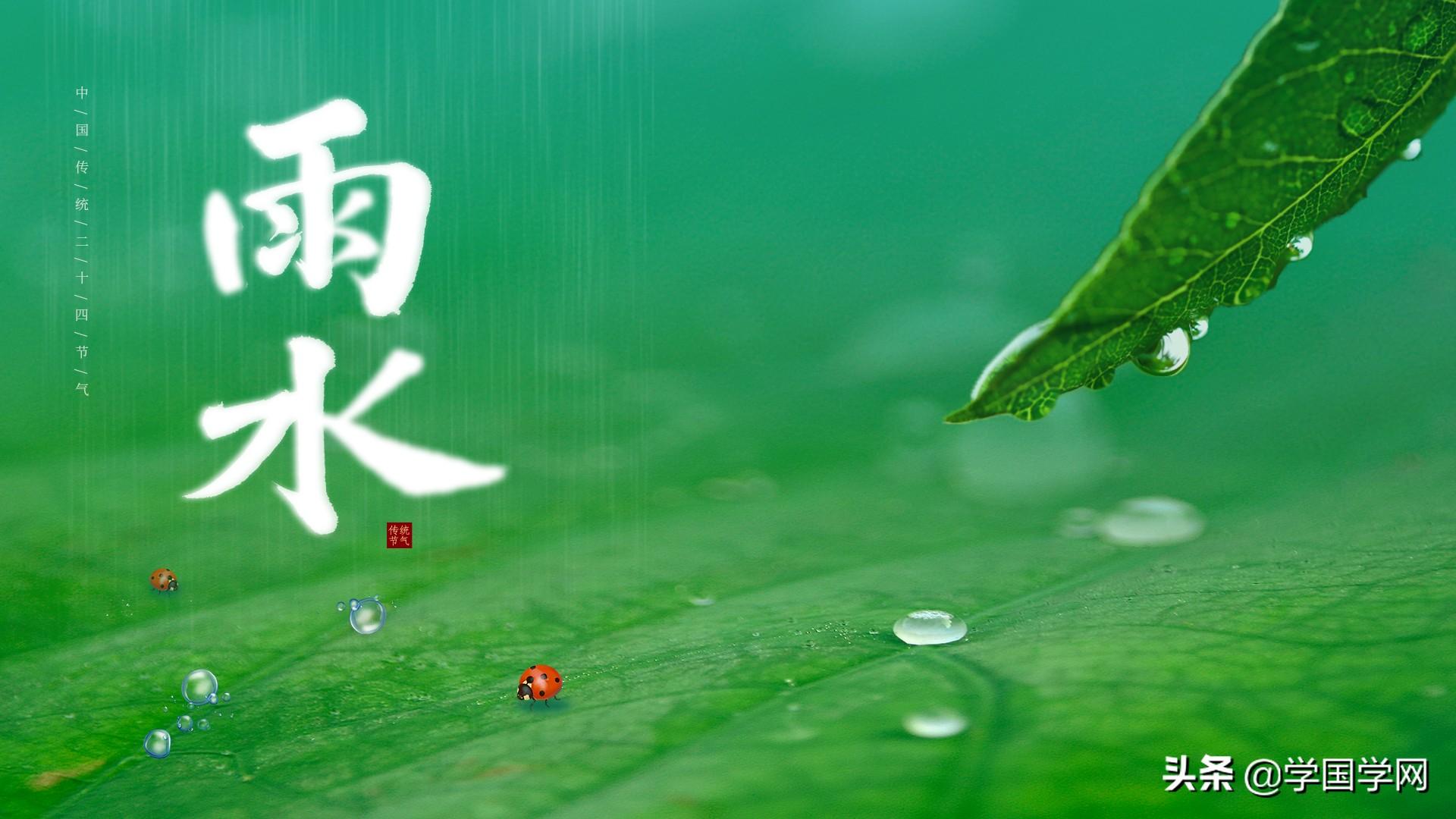 雨水節氣萬物復甦，送你四句清新唯美詩句，帶你邂逅時光里的春天