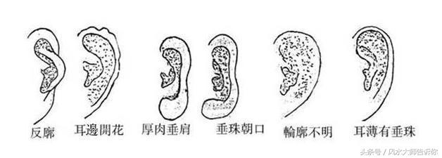 經典相學《相法心鑑》秘傳金口訣，看向不求人