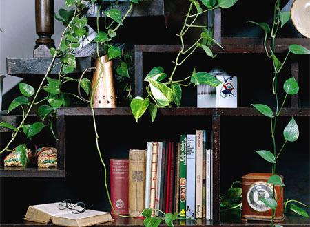 給那些長期租房人士的風水注意事項、選擇租房時要注意的一些問題