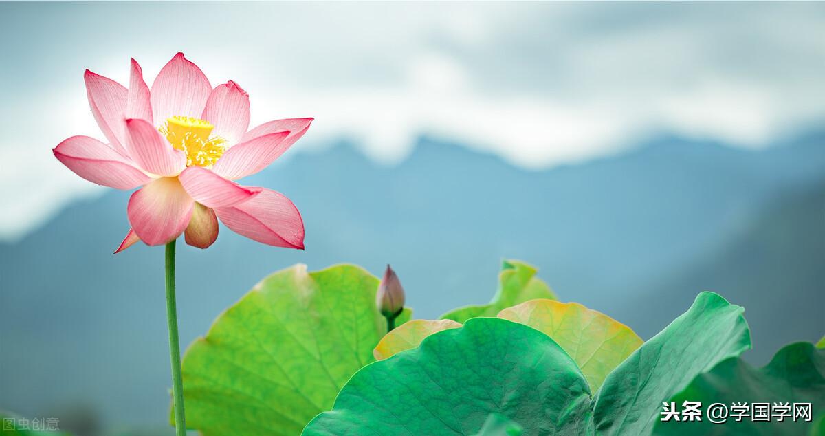 易經中最厲害的三大天機，若能讀懂參透，就可遠離禍患、福報自至