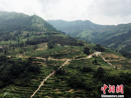 「薦讀」有一種放假叫回家，看完淚奔