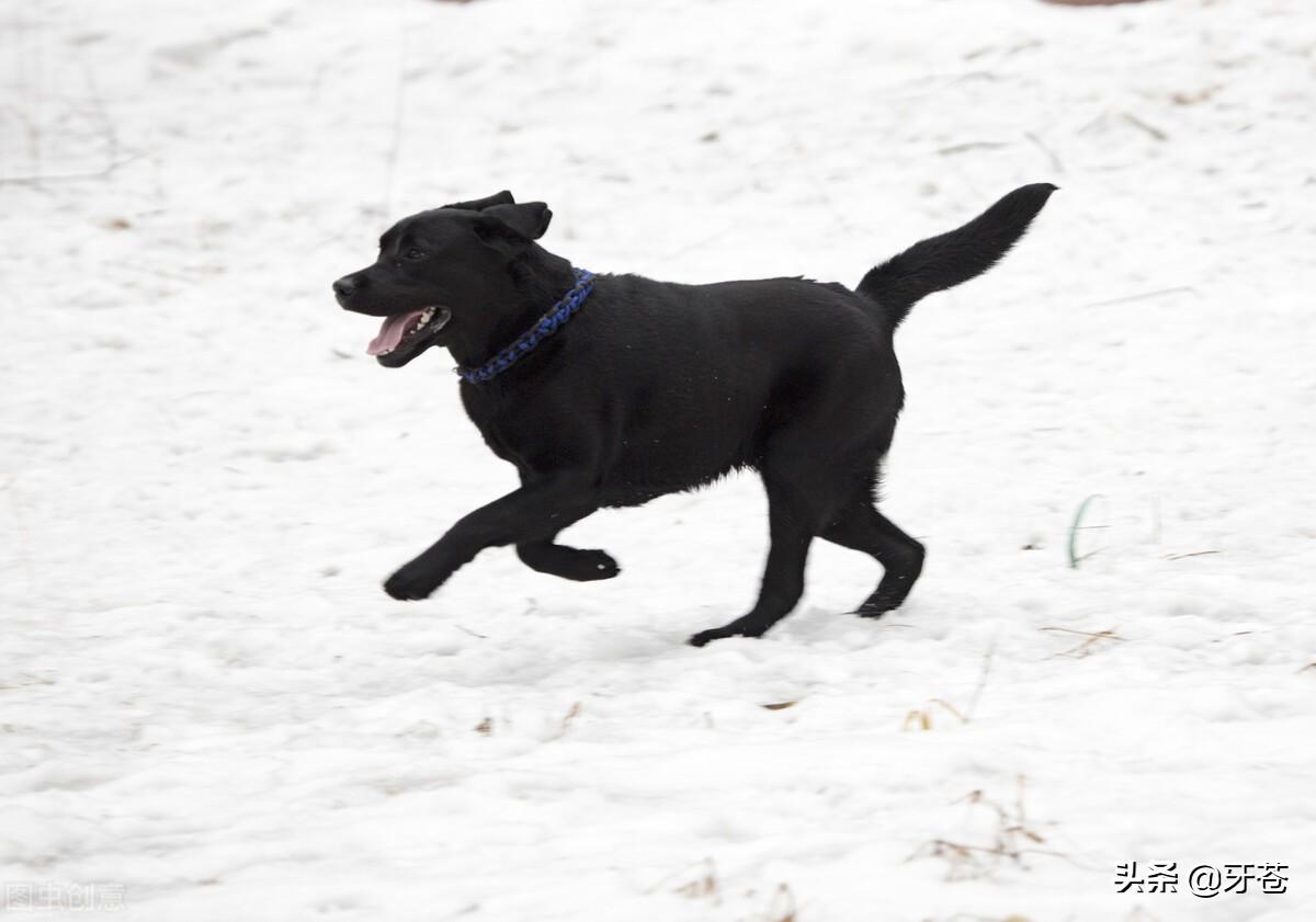 民間故事之木匠李偉