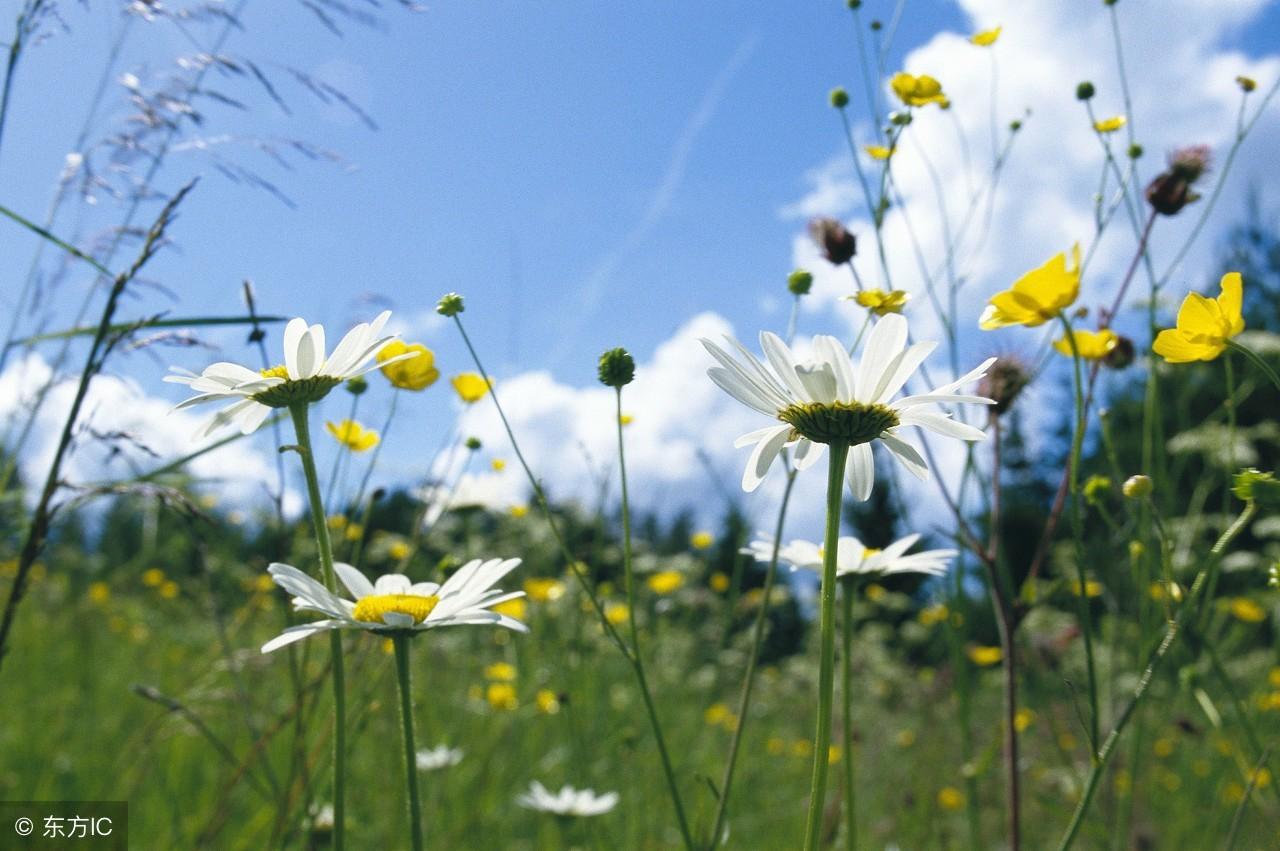 從事風水命理行業三十餘載:王師傅分享自己的10點感悟,值得收藏