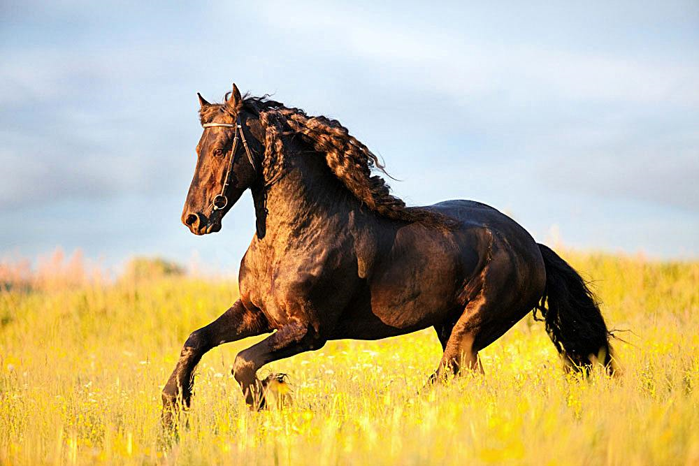 算命先生斷言：這四年出生的人只要熬過38歲，福緣自己找上門來！