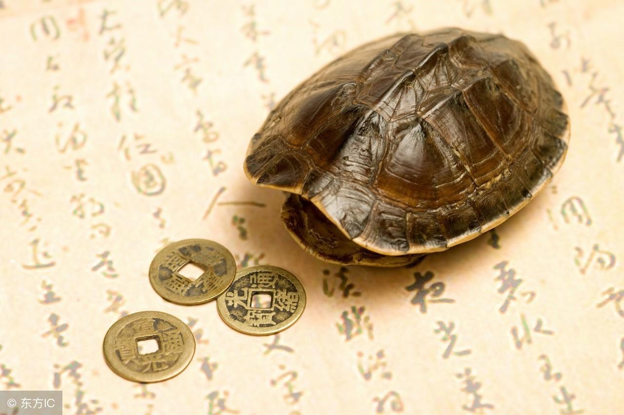 八字精要：算命的說屬象不合是什麼意思？真的不能結婚嗎？