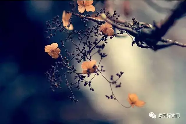 命好不好，為什麼和風水有關？