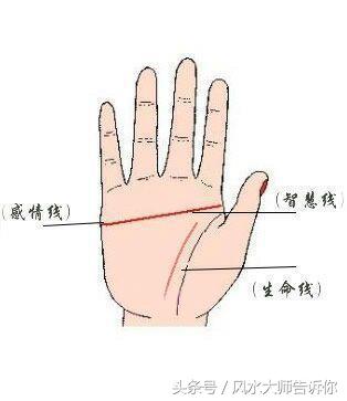 「男人斷掌值千金」手相學真假斷掌辨別,值得收藏