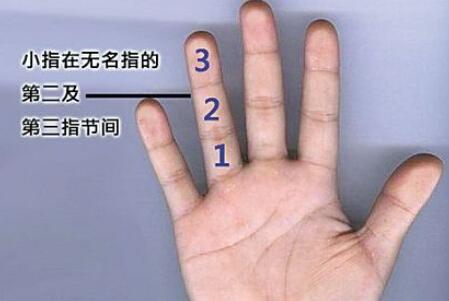 從你手指間隔的空隙來看你財運大小、和你五指的財源財運如何！