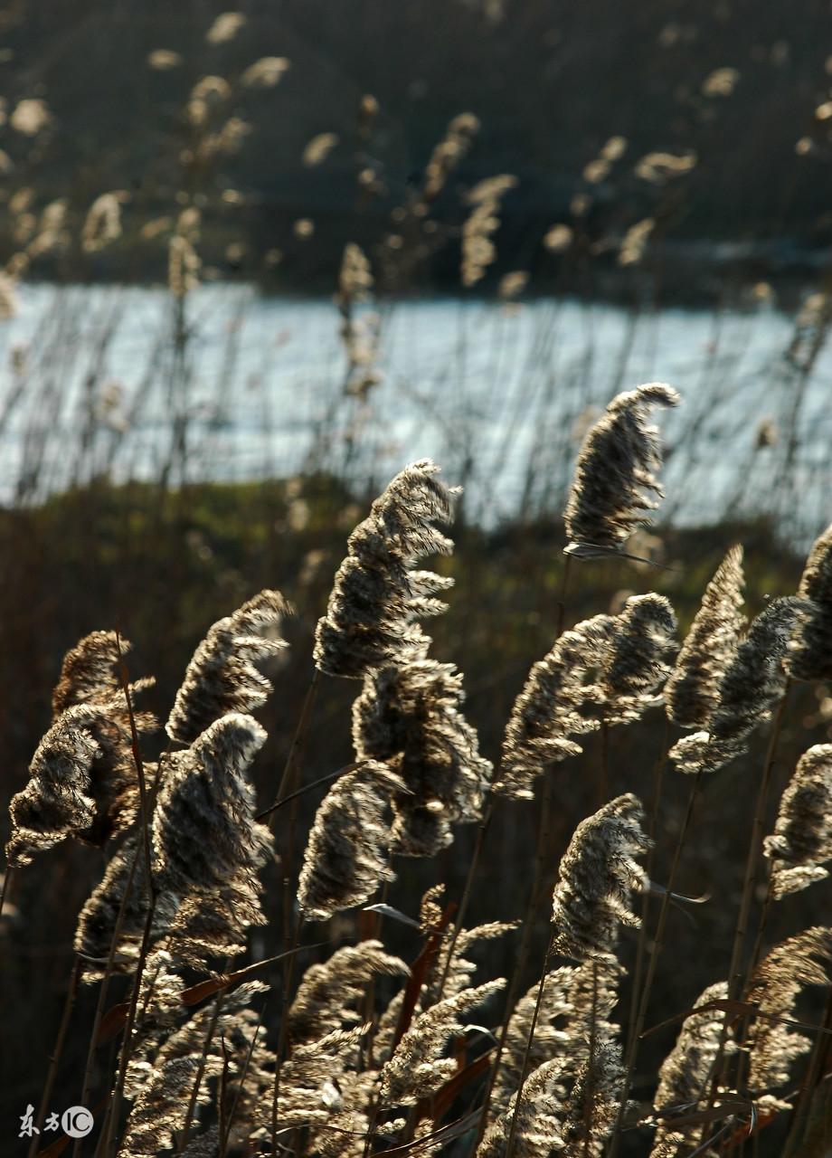 道家五大秘傳內功