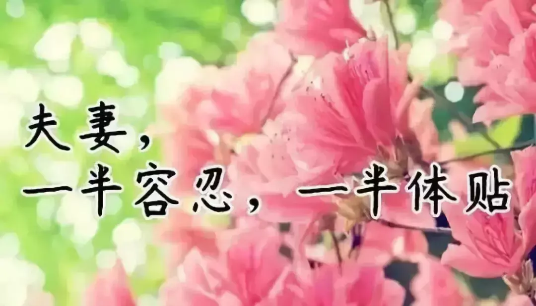 故事很短，卻說透了我們的一生，我看了10遍！（值得收藏）