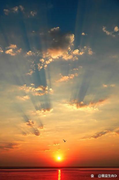 伤官为忌,想法多变,不踏实,有魄力,喜欢挑战,不怕困难