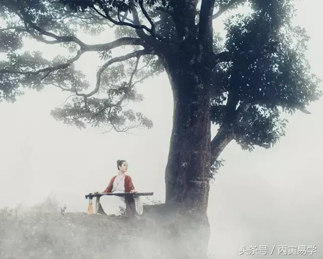 父星不顯山露水卻官至副部，命理如何解析