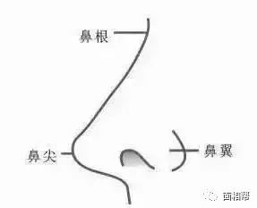 命帶什麼高人一等,高人一等,是什麼生肖呢