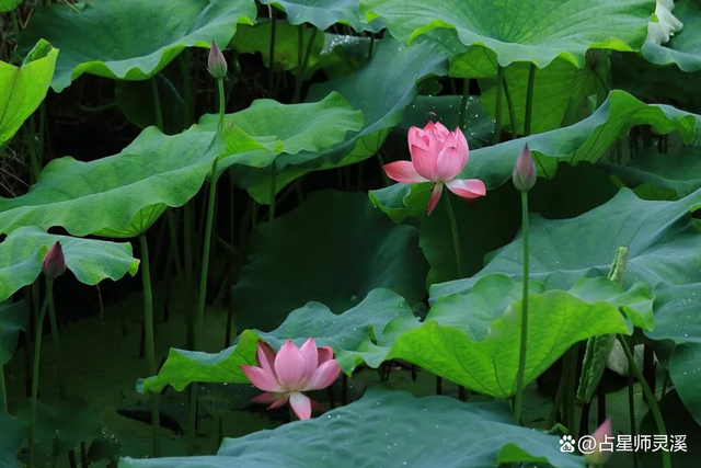 12月1号开始好运上上签,哪些星座喜迎翻身好运?