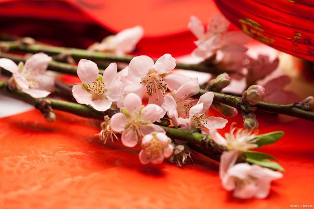 这四类人要注意,以防遇到桃花劫