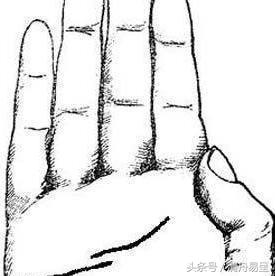 清舟易呈手相圖解：頭婚難長久手相