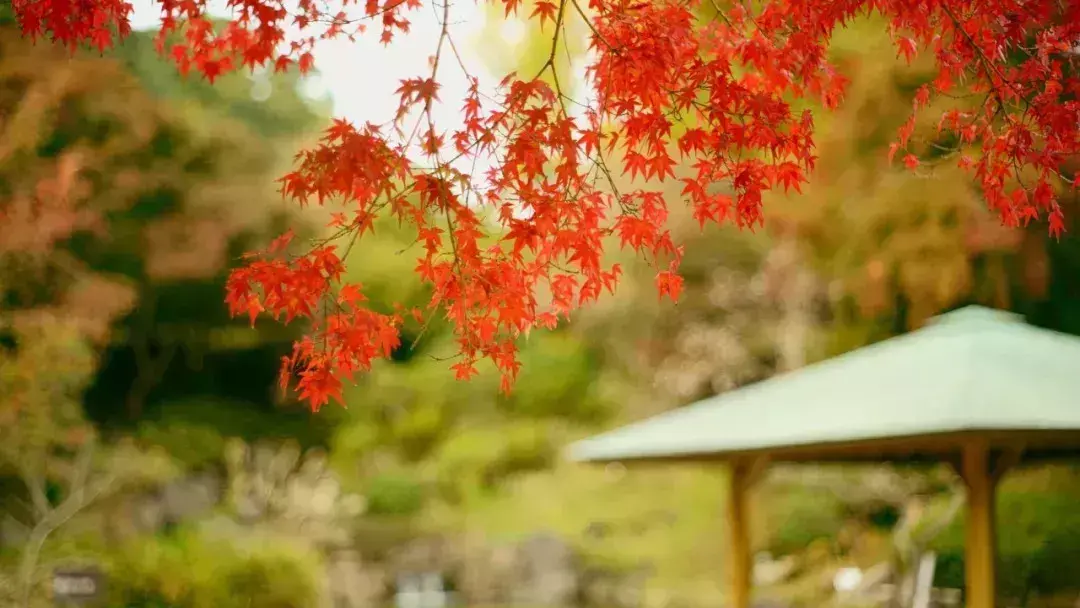 後半生，你越活越好的7個跡象！