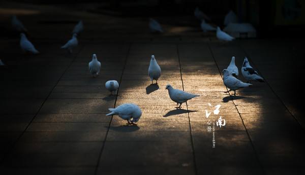 我們該如何看待玄學？