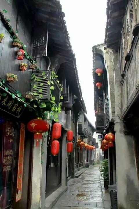 我的目光不長 正好是生命的一個輪迴