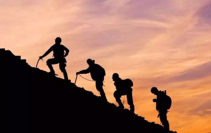 只有1%的人能看到真相，剩下的人坐等被收割