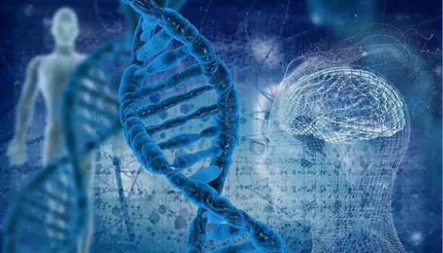 八字塑造人还是人塑造八字