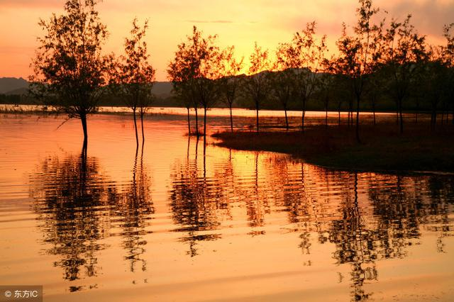 算命先生斷言：這天出生的人一生易遭第三者破壞婚姻，二婚才幸福