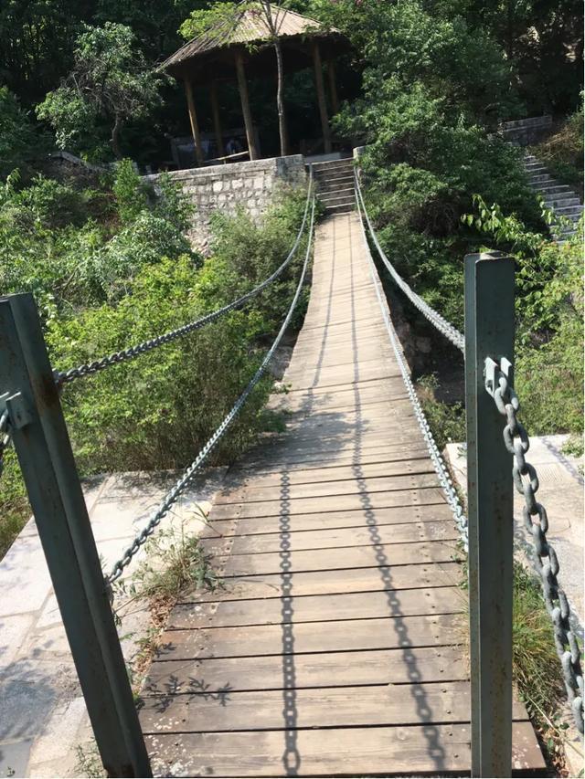 游山趣聞,一根細小枯枝能頂得起一塊巨石?