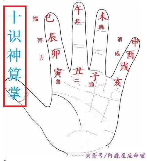 中华绝学:十二生肖“十学掌篇”,附高级技法