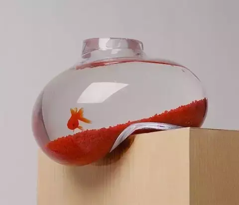 如何通過風水魚調整家宅運勢