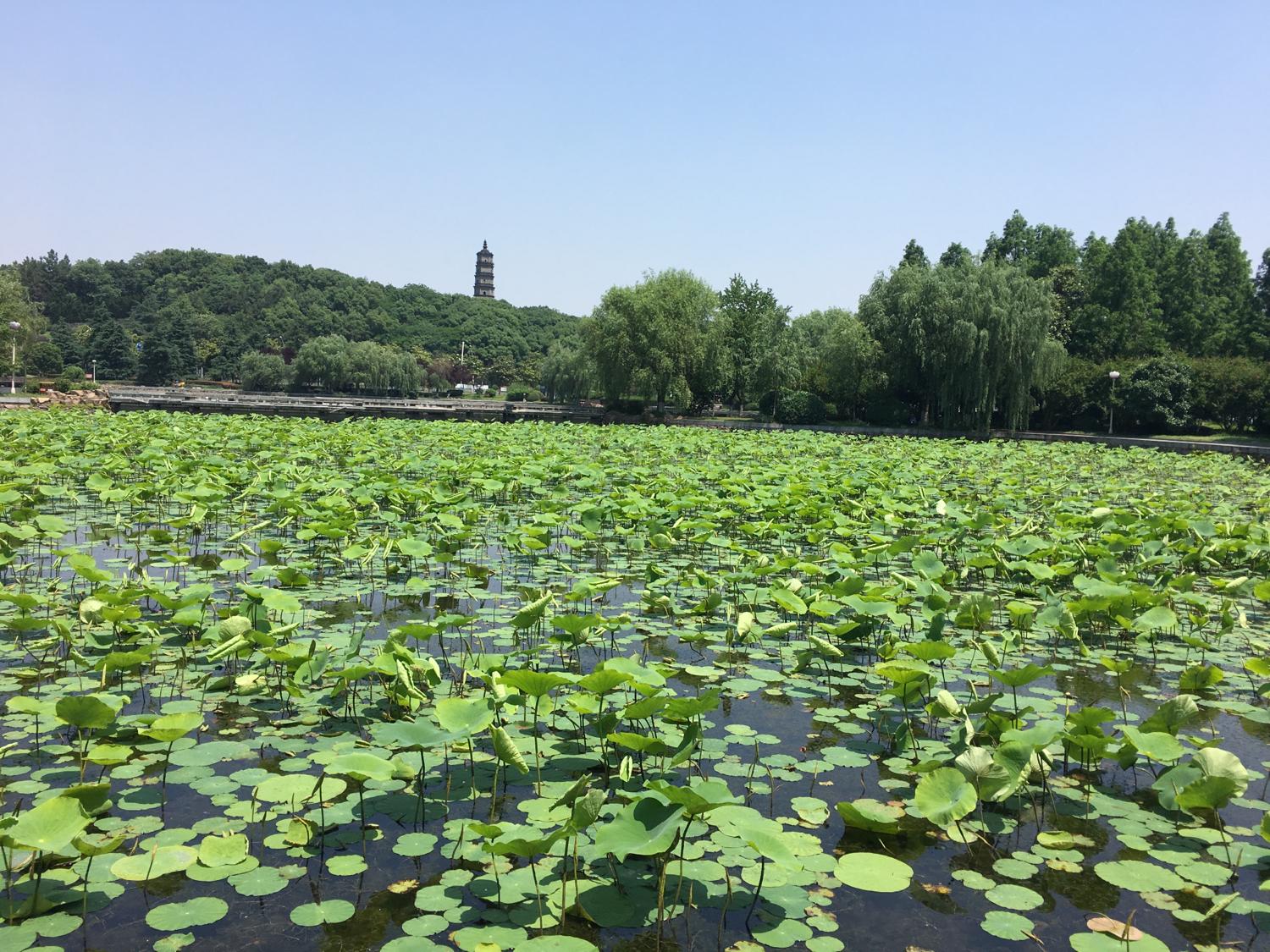 從來沒有人能違背自己的八字趨勢去生活！