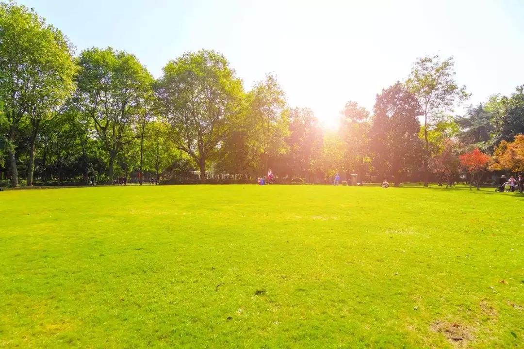 清明掃墓:萬萬不要犯這十大忌諱,犯了一個,財運就會越來越差