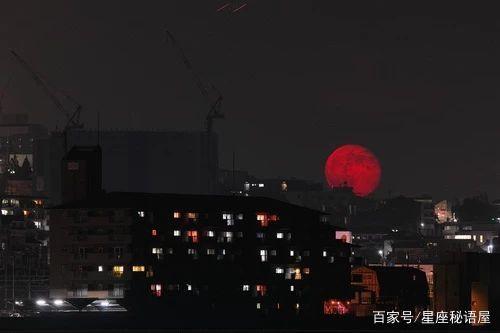 在今年，不随意生气，有责任心和好运缠身的星座！