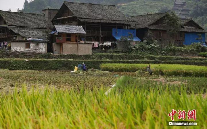 「薦讀」有一種放假叫回家，看完淚奔