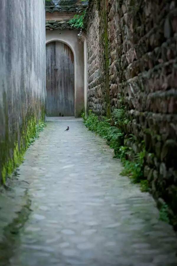 我的目光不長 正好是生命的一個輪迴